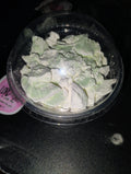 Green Apple