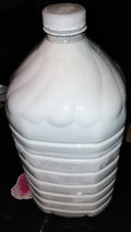 Gallon